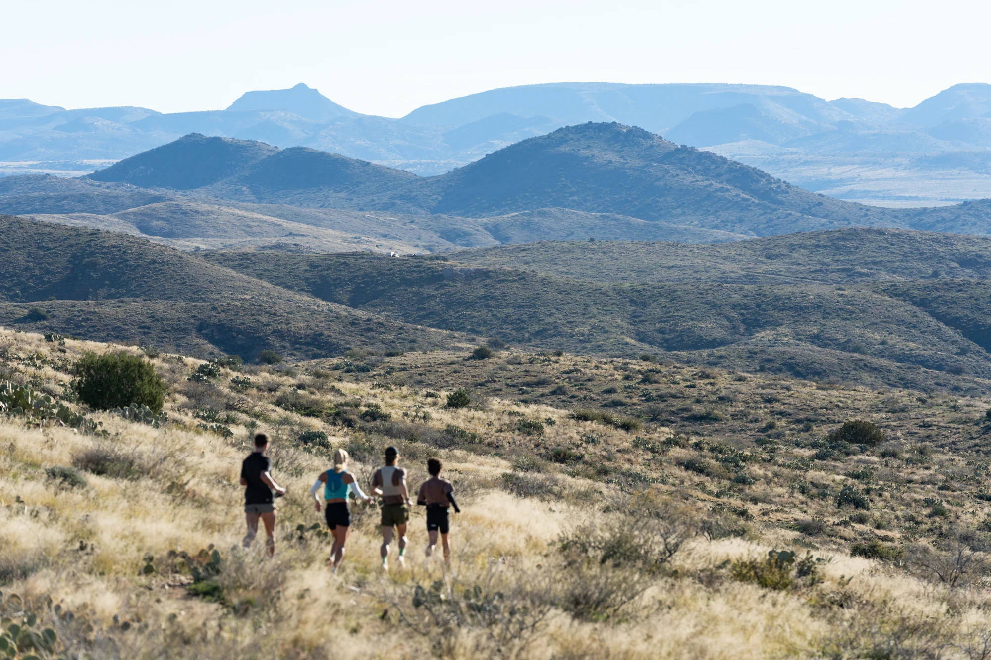 Four runners cross a wide high-desert landscape during a Ponderosa Pirates training run.